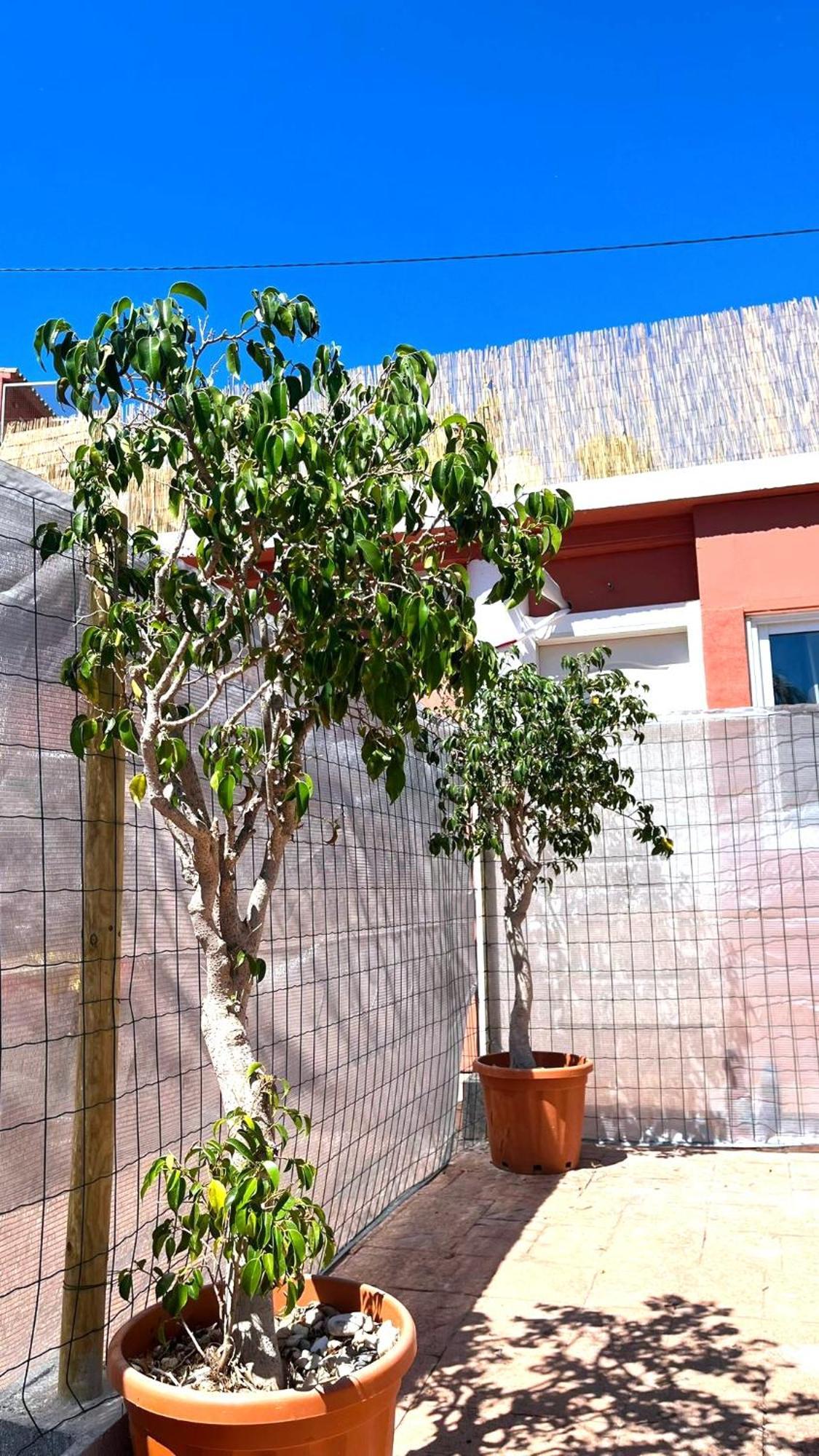 Apartamento Leyda En Marbella Eksteriør bilde